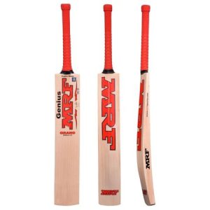 Crickrt Bat