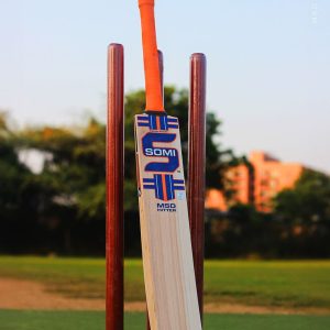 Bat
